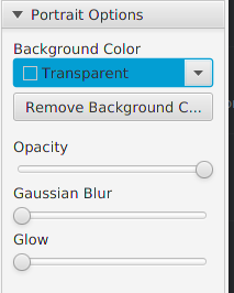 TokenTool 2.0 portrait options